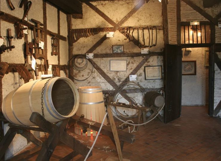 Ouverture du musée de la vigne