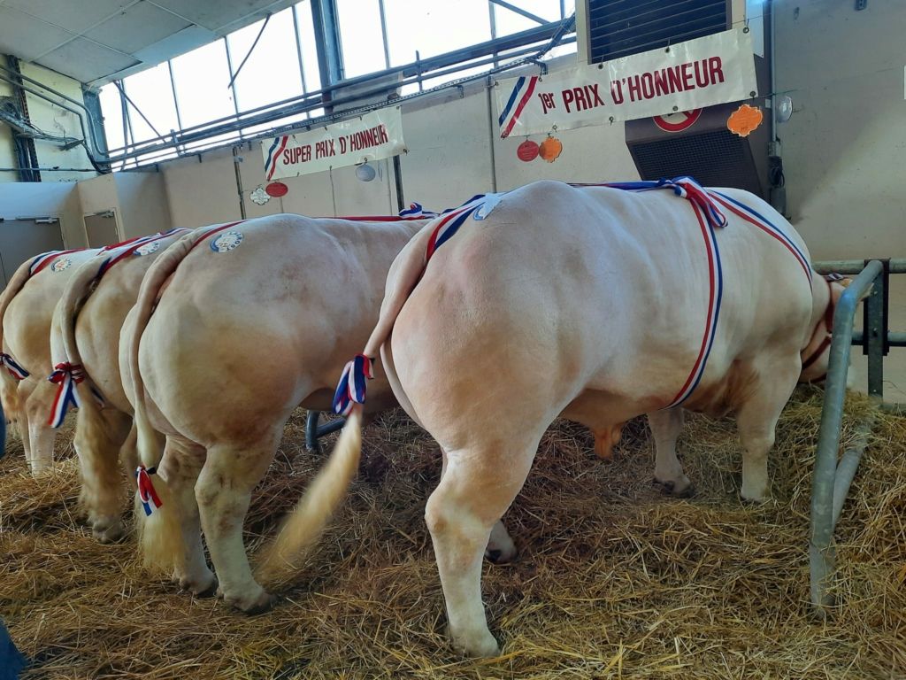 Foire concours 2022