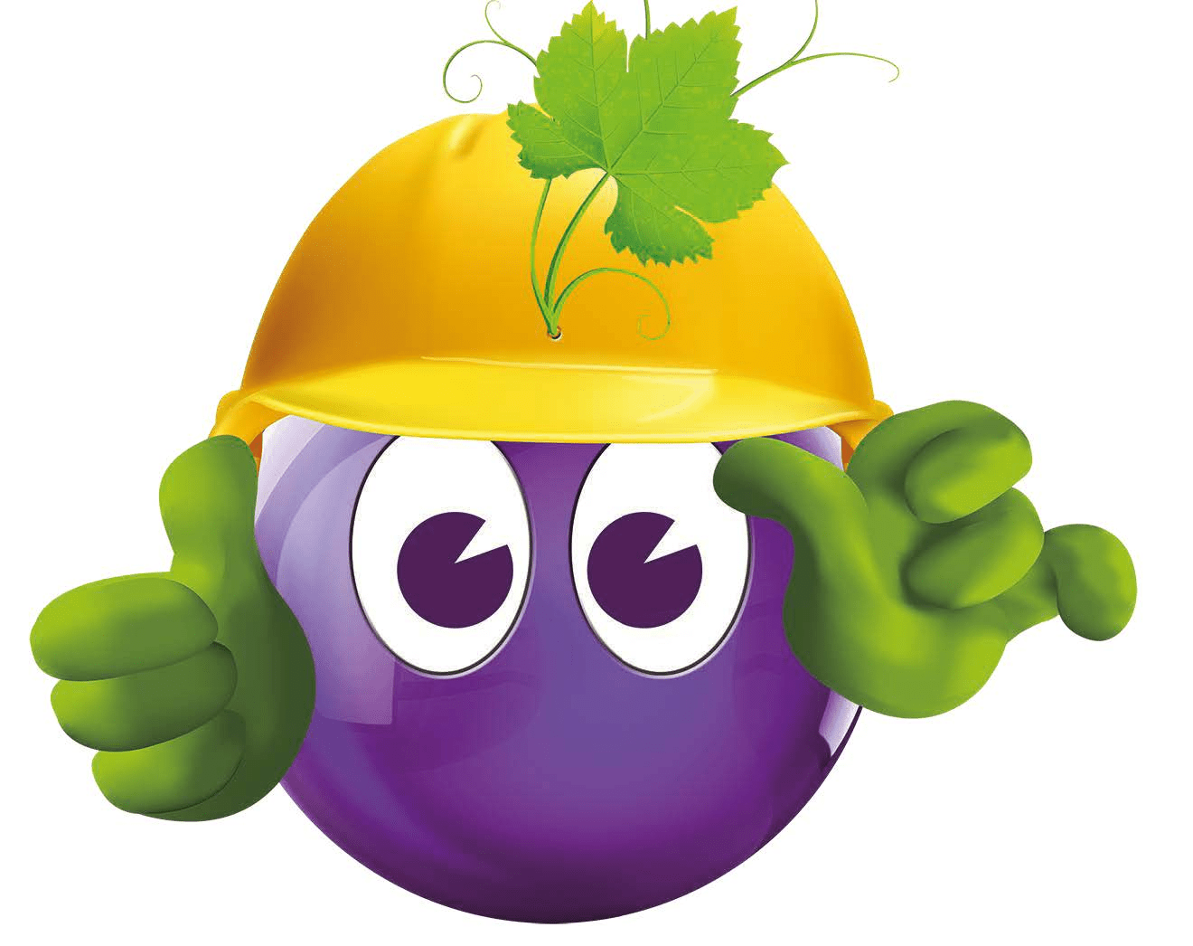 Travaux Carmone – Interruption du trafic
