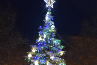 Sapin de Noël illuminé sur les cours