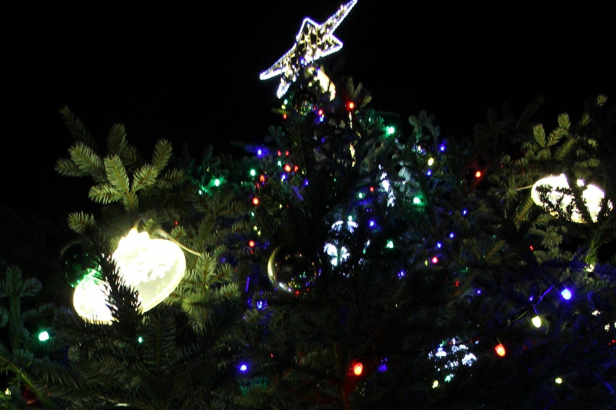Recyclage des sapins de Noël