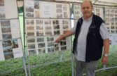 Exposition de l'Amicale des Collectionneurs lors de la Sioule en Fête 2021