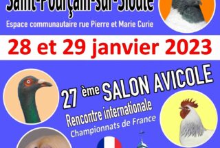 Affiche expo avicole 2023