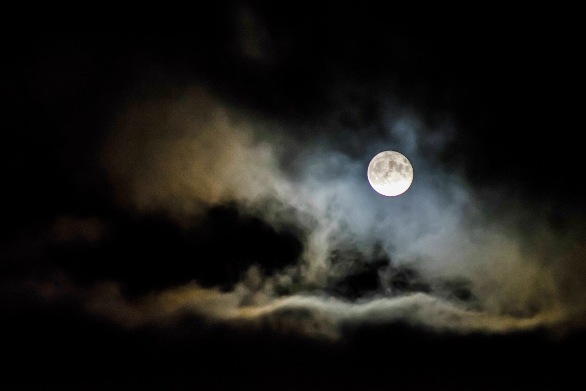 La Nuit de la Lecture