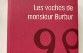 Les vaches de Mr Burbuur