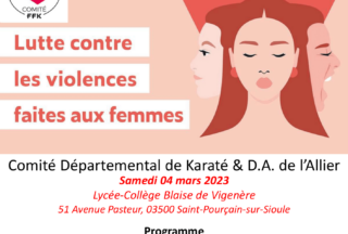 Affiche journée contre les violences faites aux femmes