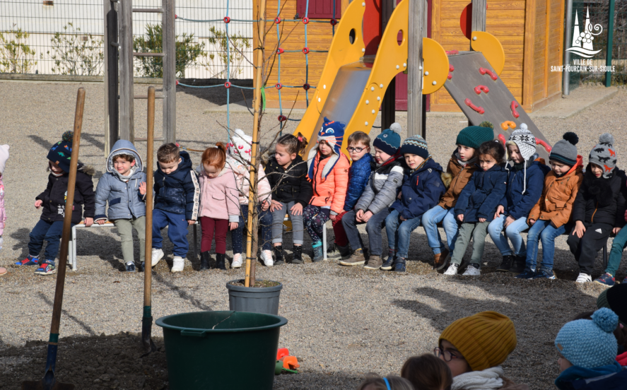 Plantation de l'arbre de la laïcité à l'école Françoise Dolto le 21/02/2023