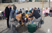Plantation de l'arbre de la laïcité à l'école Françoise Dolto le 21/02/2023
