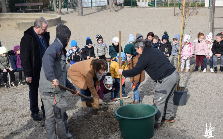 Plantation de l'arbre de la laïcité à l'école Françoise Dolto le 21/02/2023