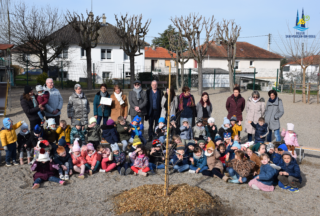 Plantation de l'arbre de la laïcité à l'école Françoise Dolto le 21/02/2023