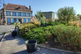 Photo espaces verts
