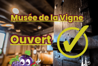Ouverture du musée de la vigne 2023