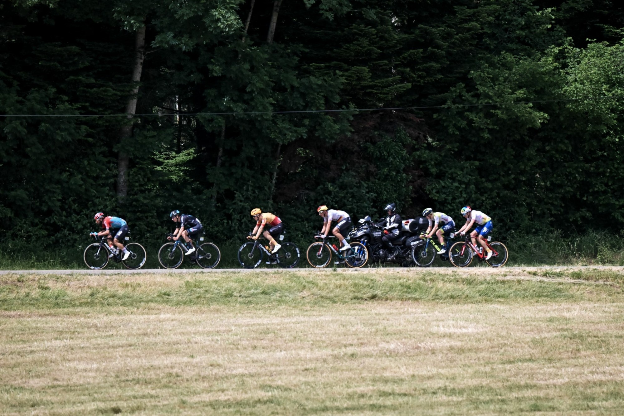 Annonce du Critérium du Dauphiné 2024