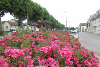 Concours des maisons fleuries 2024
