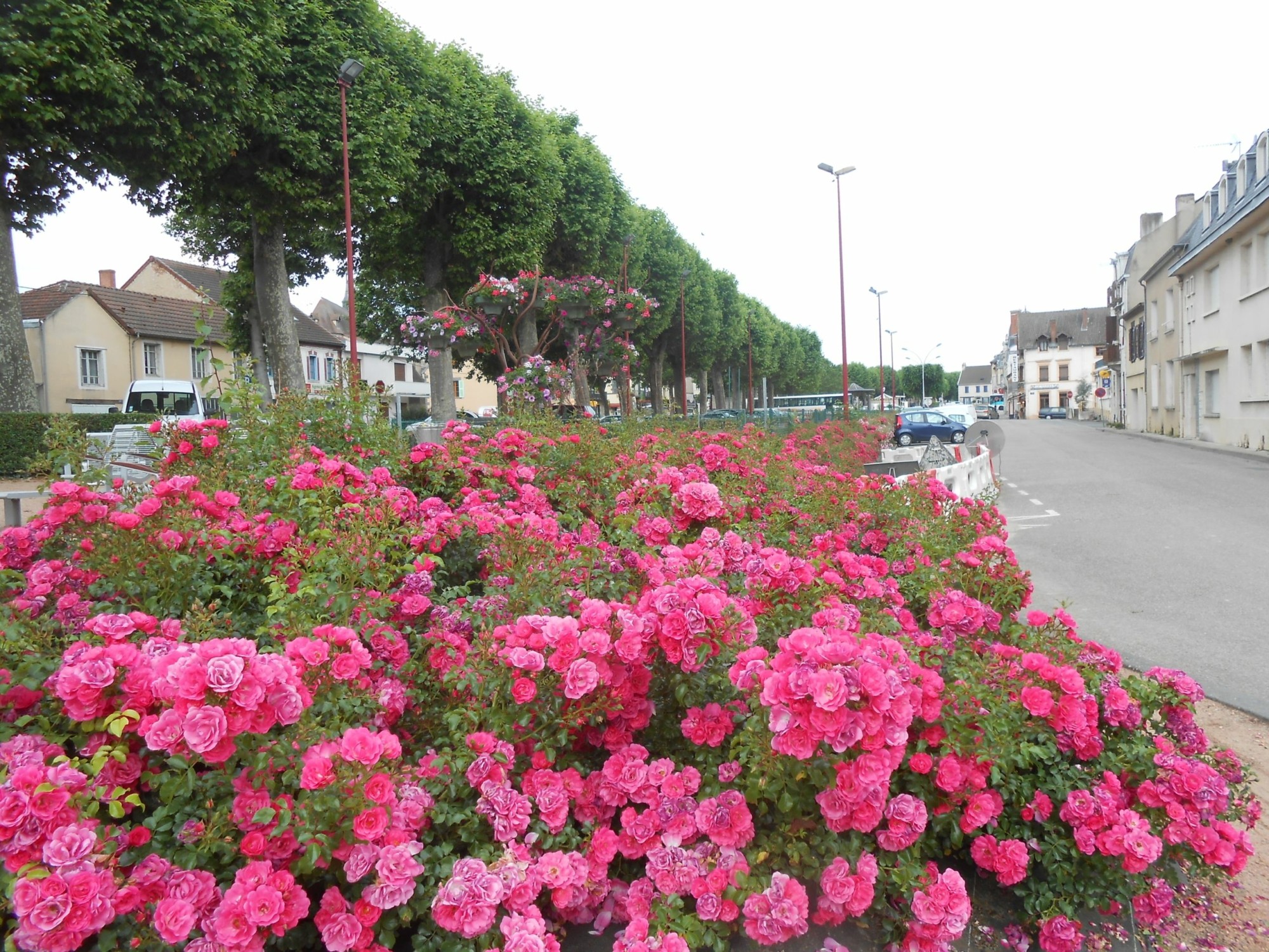 Concours des maisons fleuries 2024