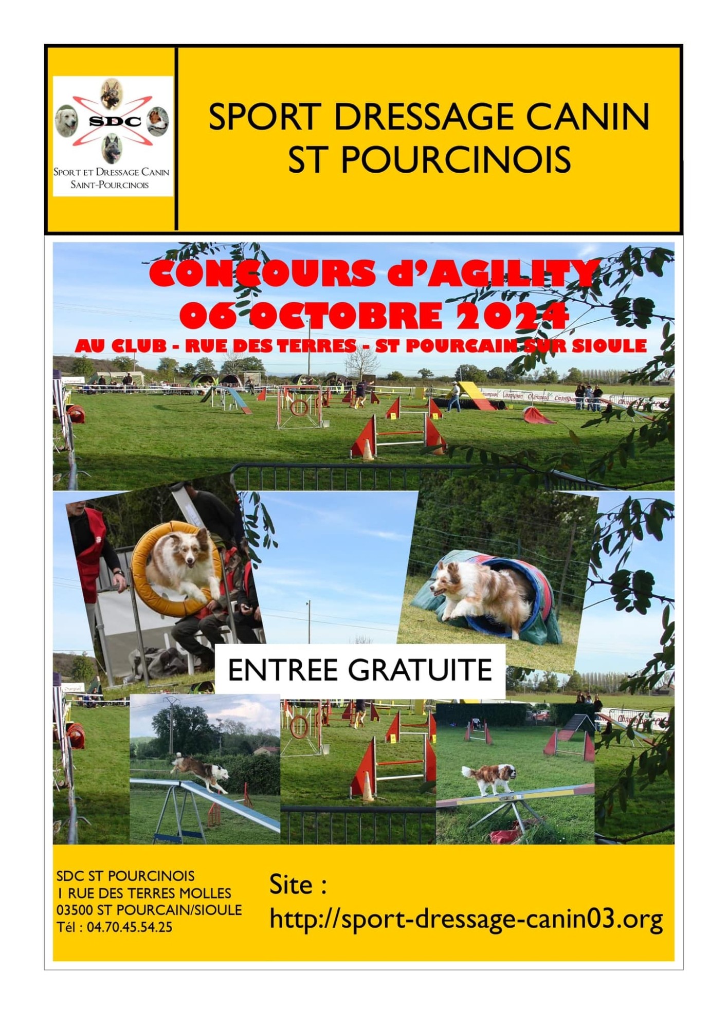 Concours d’agility