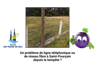 Recensement des problèmes sur les réseaux cuivre et fibre
