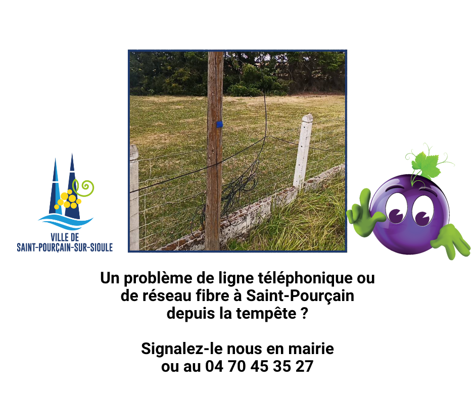 Recensement des problèmes sur les réseaux cuivre et fibre