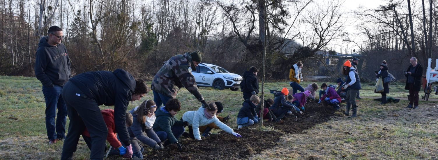 Une haie pour la biodiversité