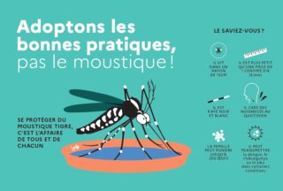 Lutte contre la prolifération du moustique tigre
